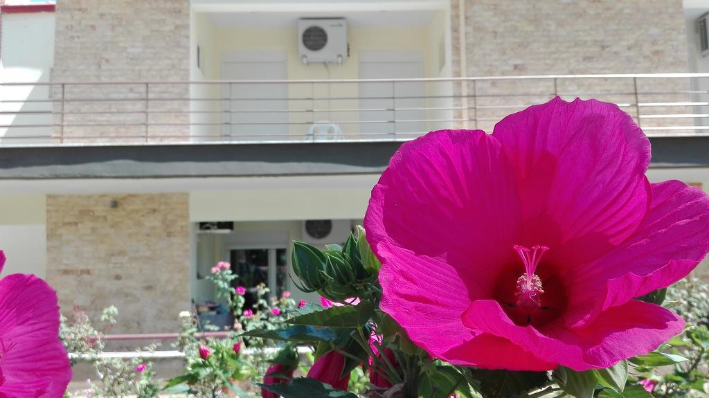 Familia Hotel Loutra Volvis Екстериор снимка